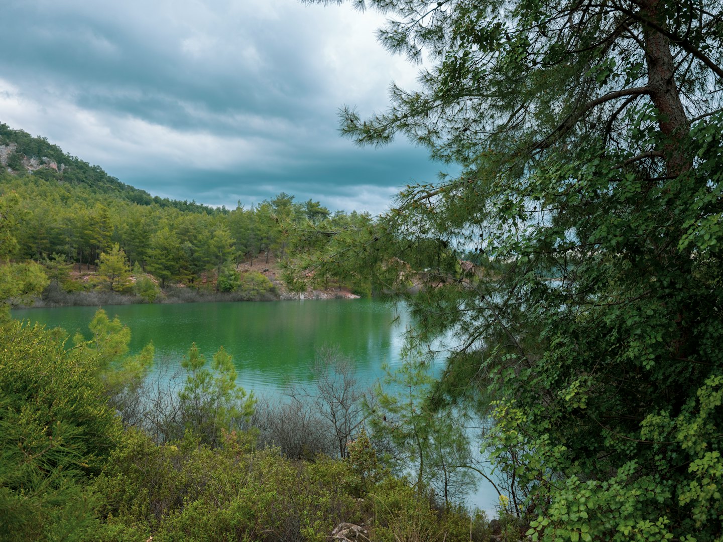 Still lake surrounded by dense evergreen pine forests and hills.