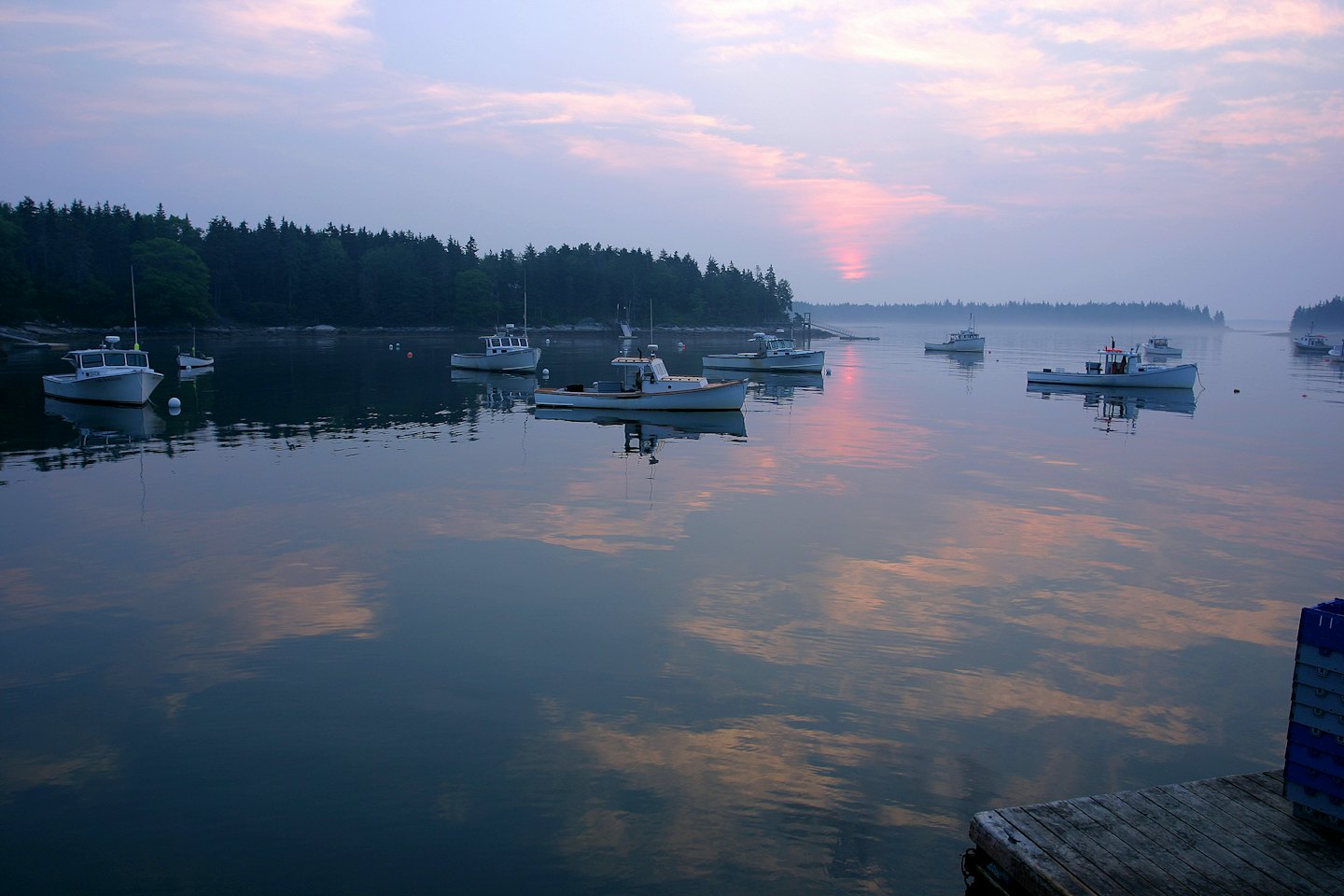 Fishing boats anchor in a harbor near a wooded shore.